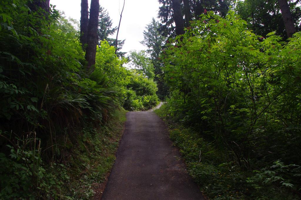 弗雷泽河缘住宿加早餐旅馆 奇利瓦克 外观 照片